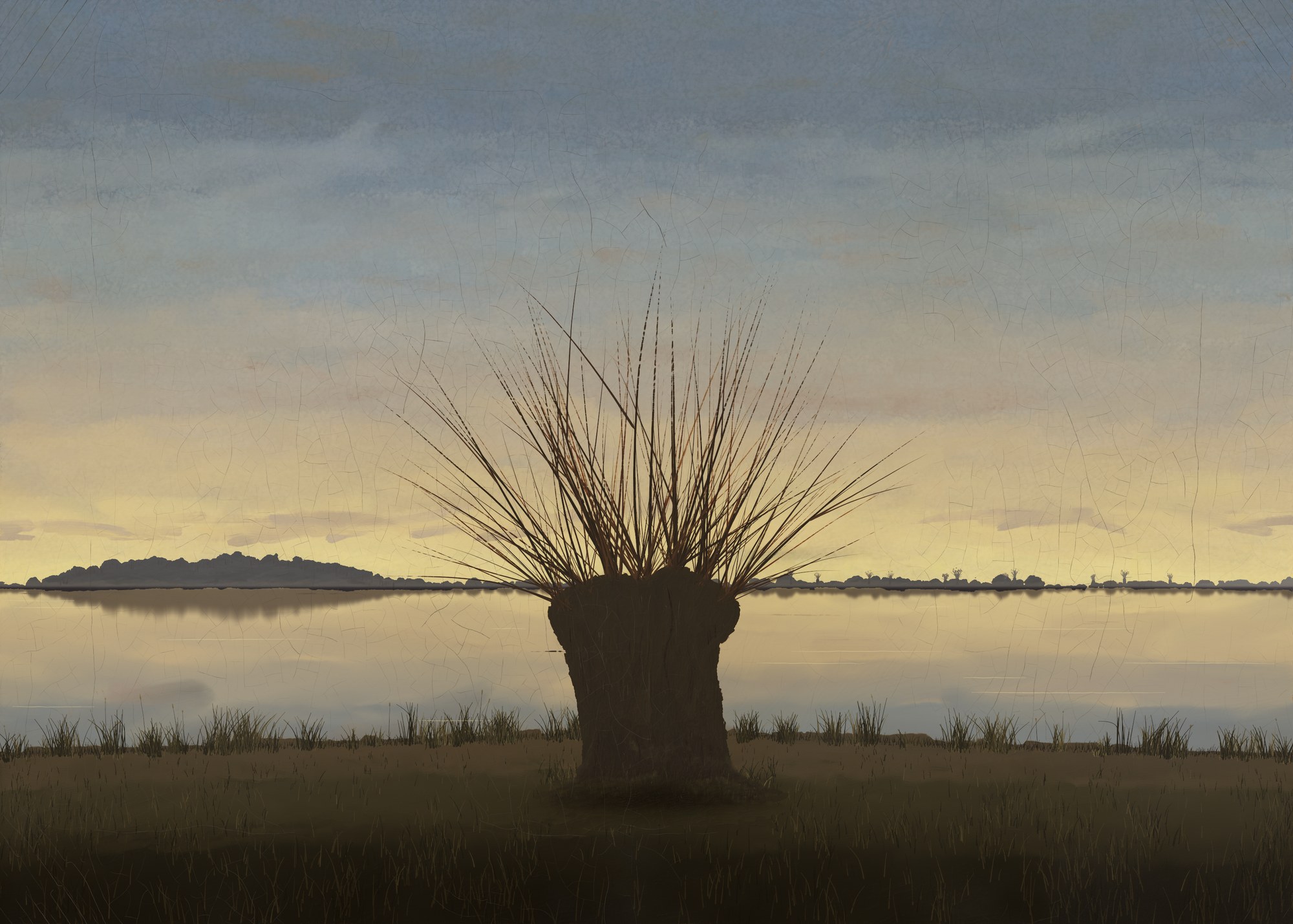 A flooded meadow in late autumn after sunset, with one old pollard willow on a low dyke on the axis, still water mirroring a banded sky and a thin far shore of woods and small pollards; no figure and no moon.