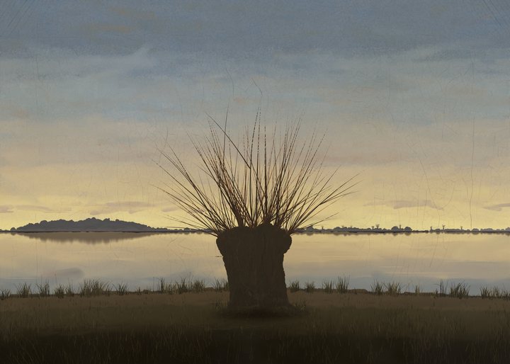 A flooded meadow in late autumn after sunset, with one old pollard willow on a low dyke on the axis, still water mirroring a banded sky and a thin far shore of woods and small pollards; no figure and no moon.