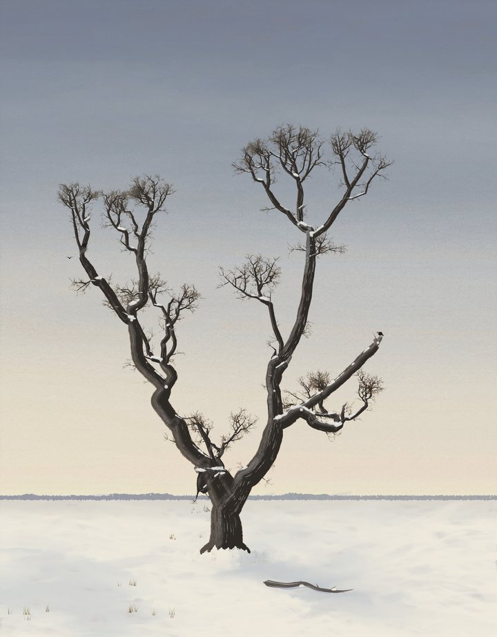 An old, crooked, stag-headed oak with a broken dead limb stands alone in a snow field under a pale veiled winter sky, with crows on its dead ends and a thin band of distant woods on a low horizon.