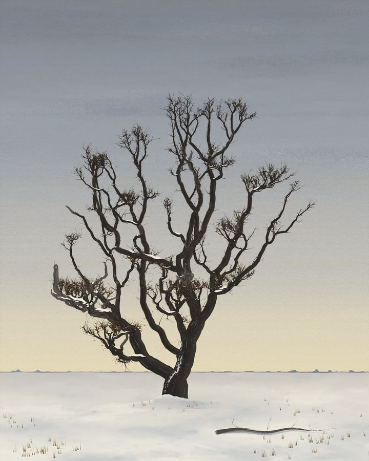 An old stag-headed oak stands alone on a snowfield under a low gray winter sky in late afternoon, a storm-broken limb lying half sunk in the snow beside it.