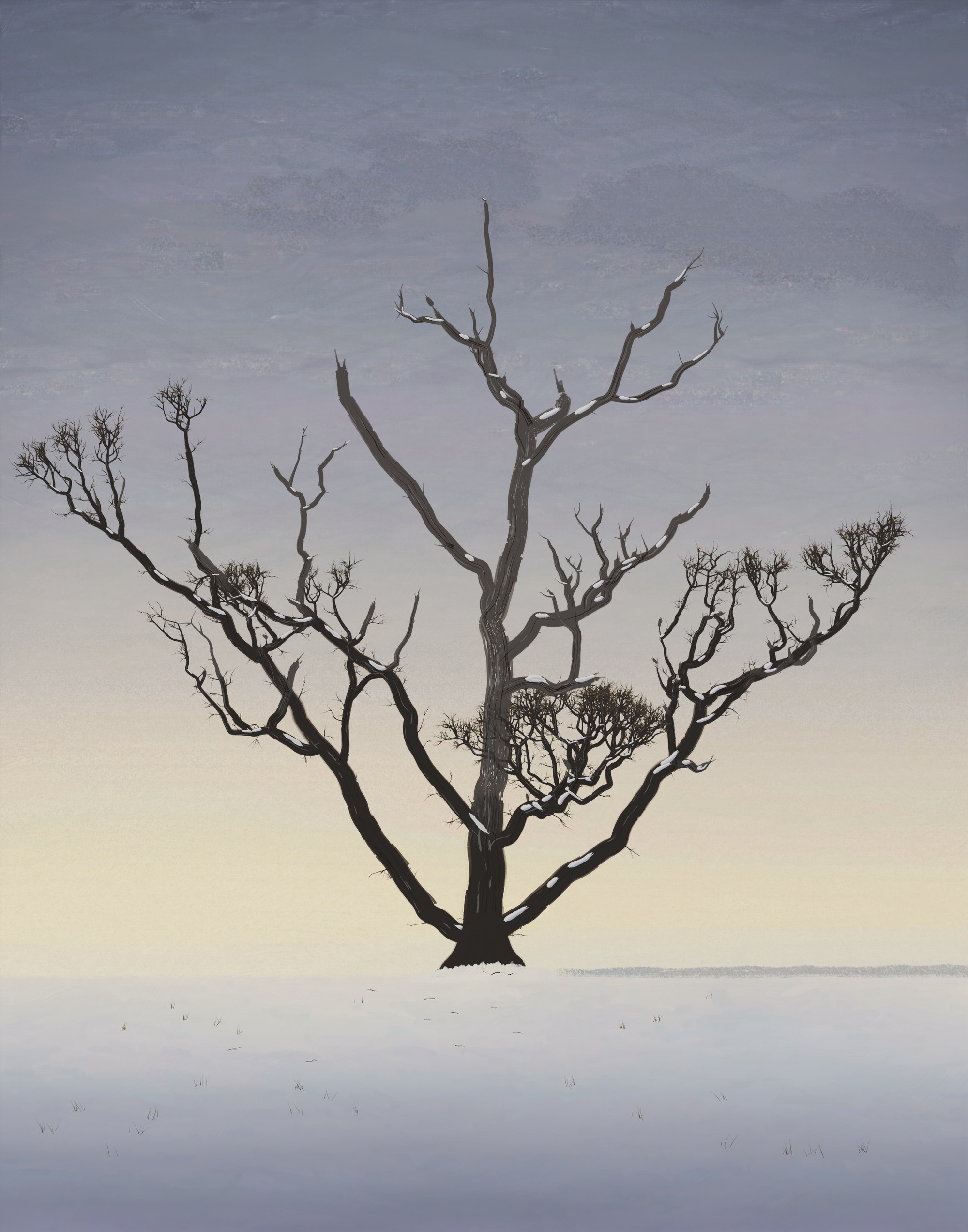 One ancient oak, its top dead and broken into silver-gray wood, stands alone on a low rise of snow under a still, clouded late-afternoon sky with a pale glow low on the left.