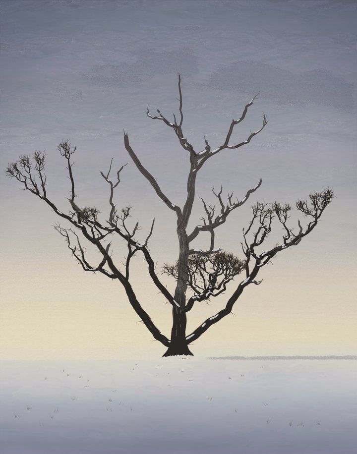 One ancient oak, its top dead and broken into silver-gray wood, stands alone on a low rise of snow under a still, clouded late-afternoon sky with a pale glow low on the left.