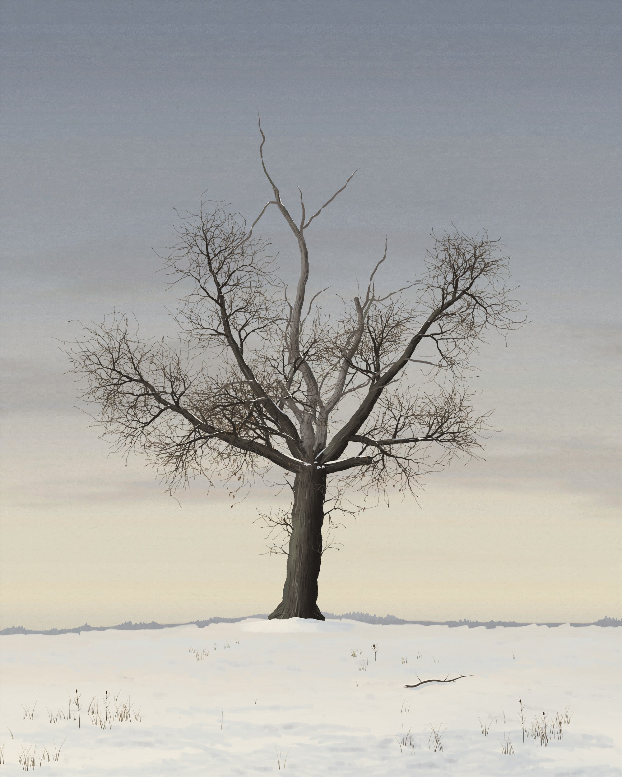 An old stag-headed oak, two bleached dead limbs standing above its living crown and one limb sawn to a stub, stands alone on a low swell of snow under a cold gray-blue sky, a fallen limb half buried at the right.