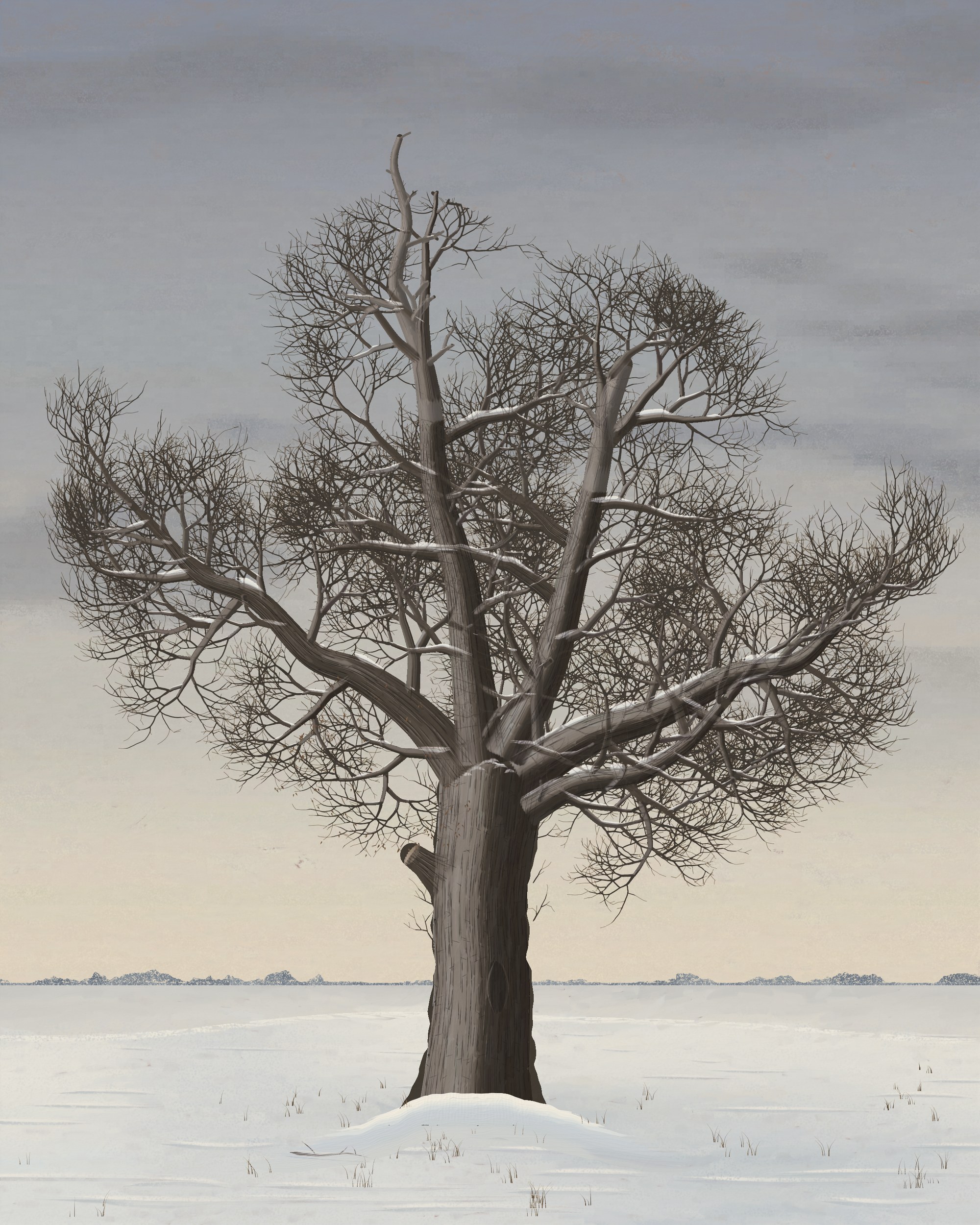 An old stag-headed oak with a sawn stump and an old wound stands alone on a low rise of snow under a pale overcast sky, seen from low down so the horizon crosses its lower trunk.