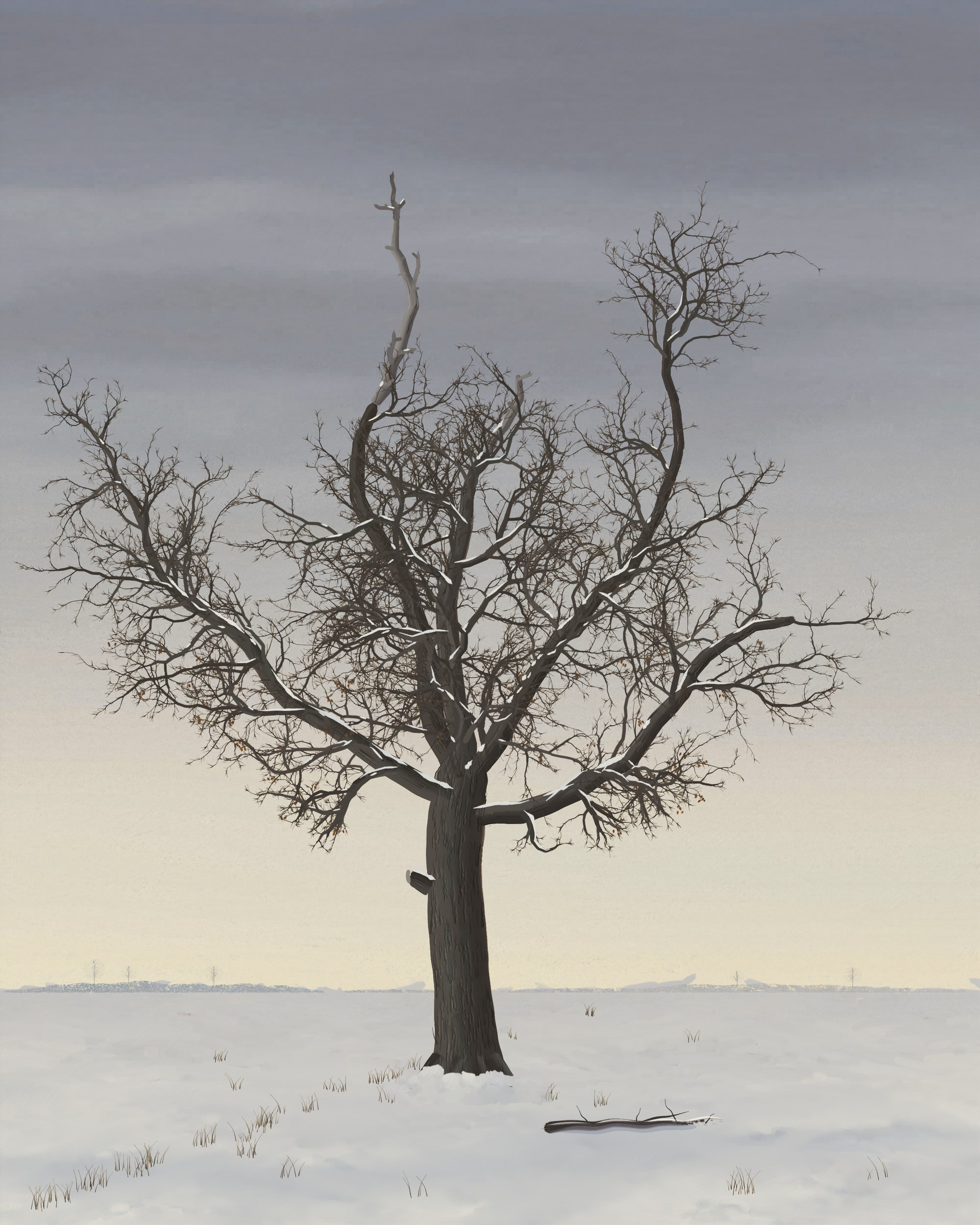 An old stag-headed oak, its dead silver-gray leader standing above a round live crown, stands alone in a snowfield under a low overcast sky, seen from low down with a fallen limb half buried at its foot.