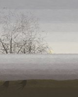 Bare trees rising over low fog in a grey wooded landscape.